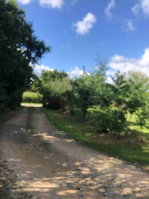 Apartament Terrasse, Campagne Et Mer Troguery Zewnętrze zdjęcie